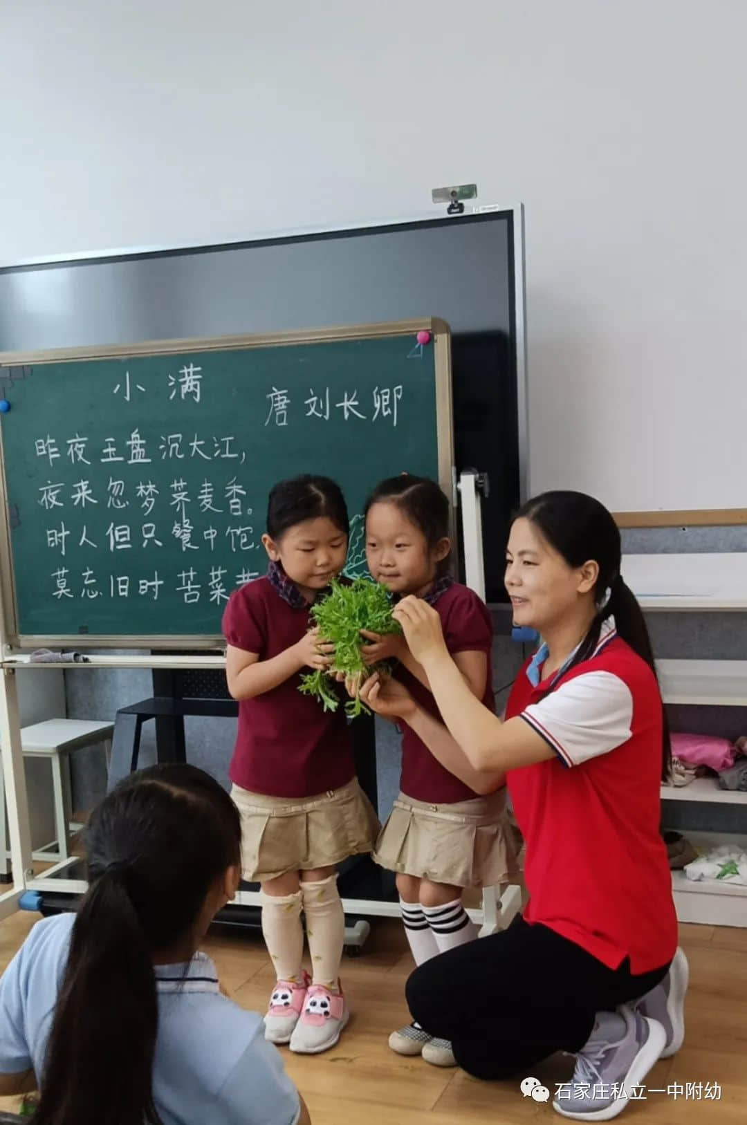 【幼之育】小滿小滿，幸?！坝住泵罎M