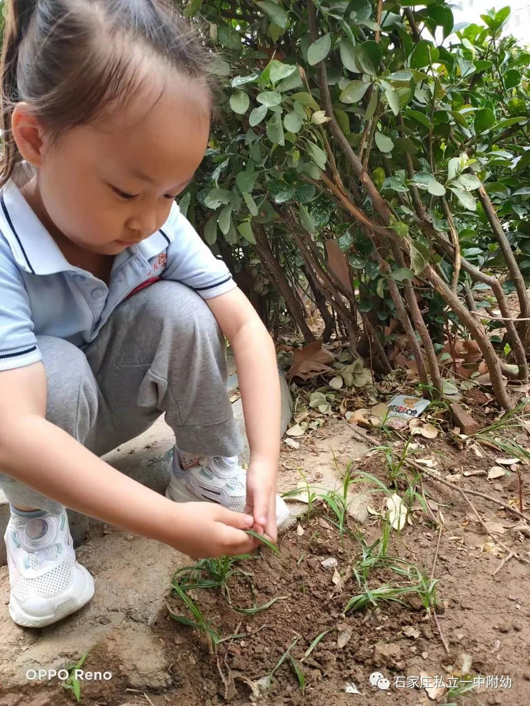 【幼之育】小滿小滿，幸?！坝住泵罎M