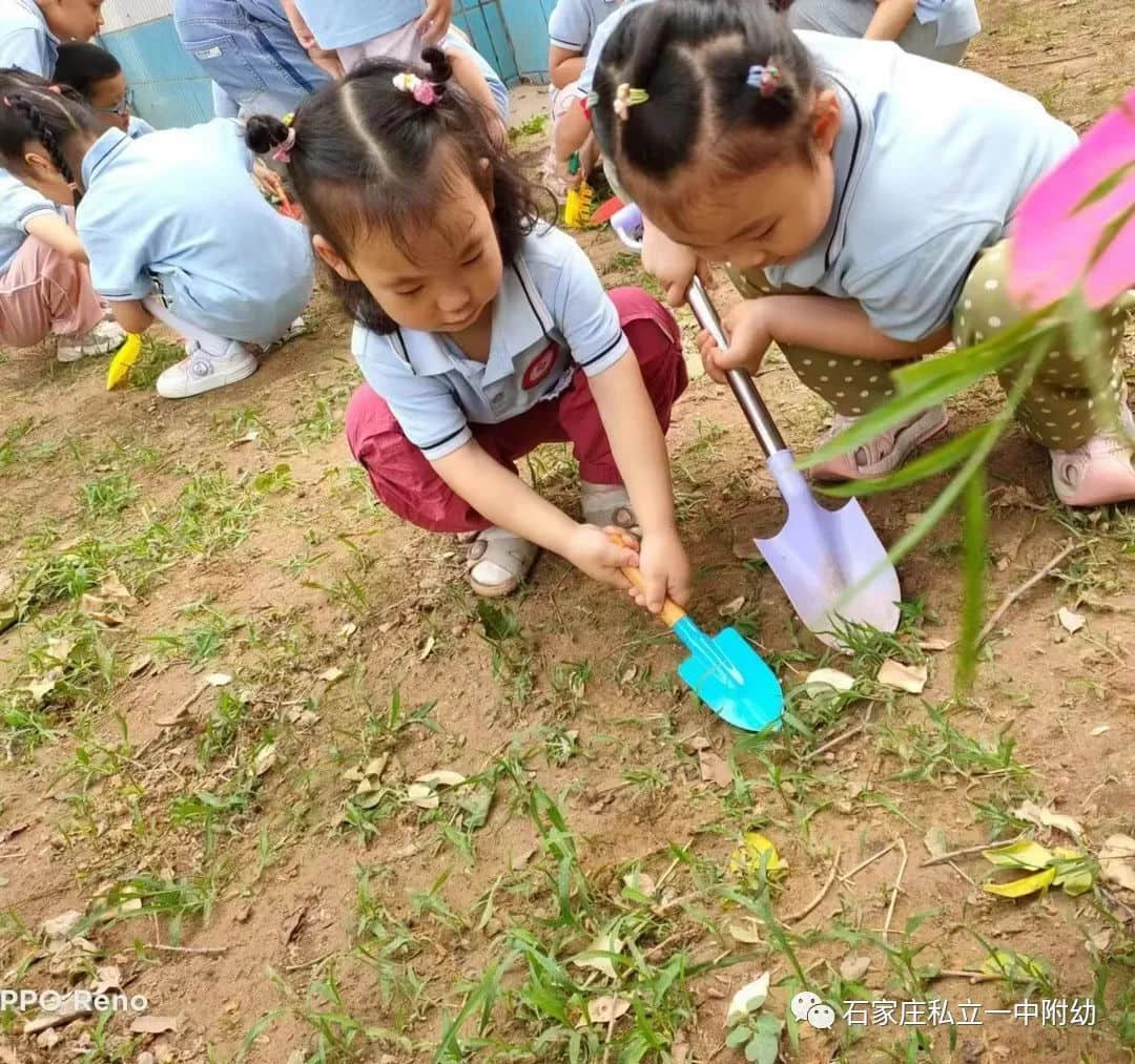 【幼之育】小滿小滿，幸?！坝住泵罎M