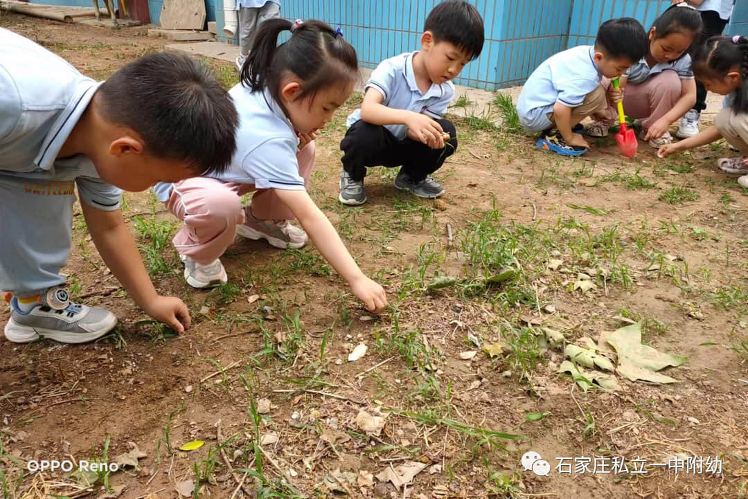 【幼之育】小滿小滿，幸?！坝住泵罎M