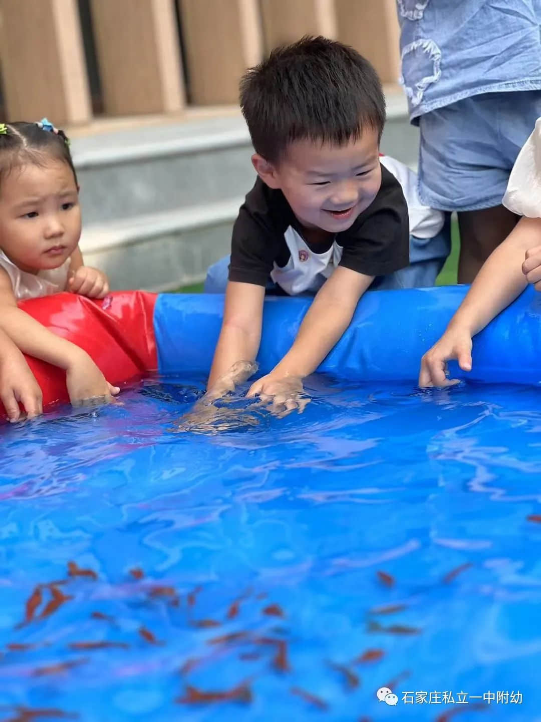 秋趣、魚(yú)趣、童趣