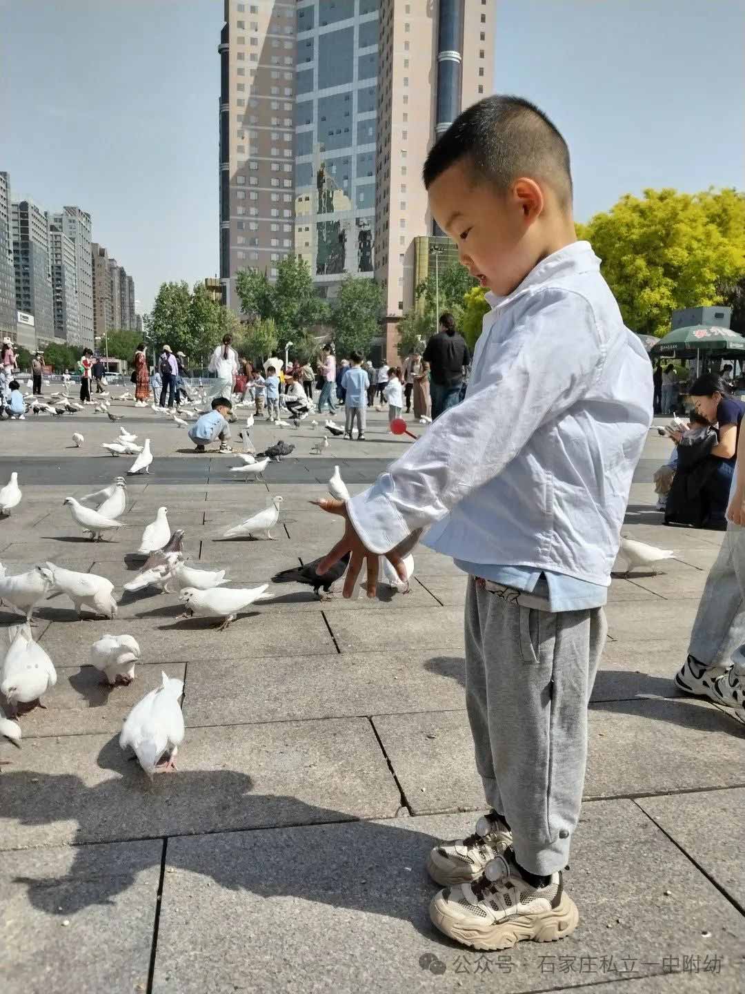 【春游】時光恰好 “幼趣”春游---幼兒科技館之行