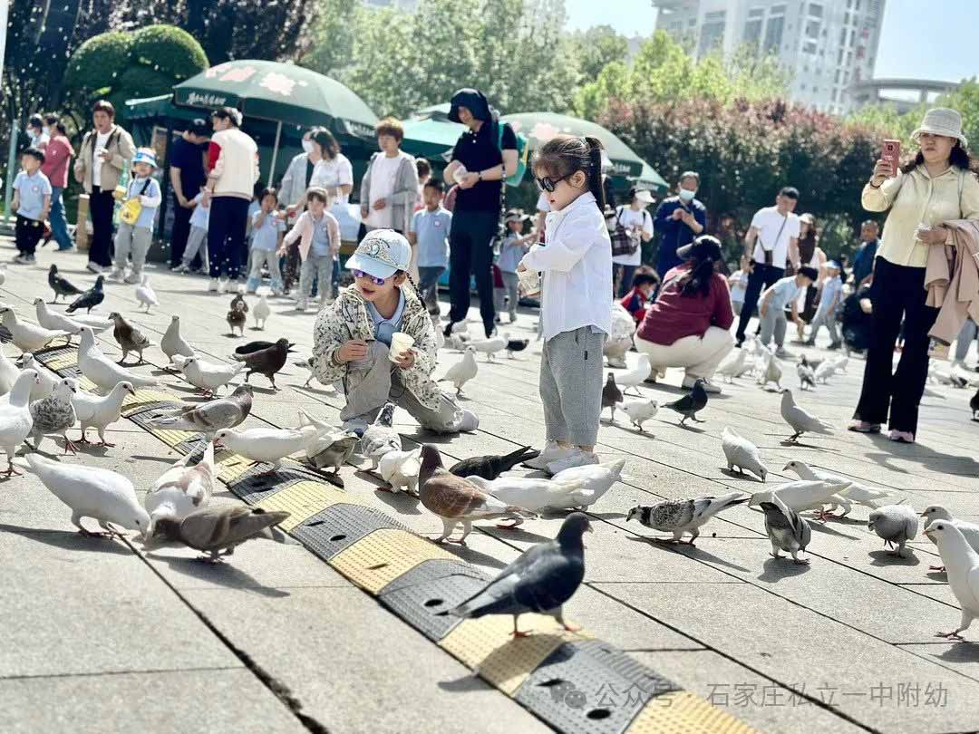 【春游】時光恰好 “幼趣”春游---幼兒科技館之行