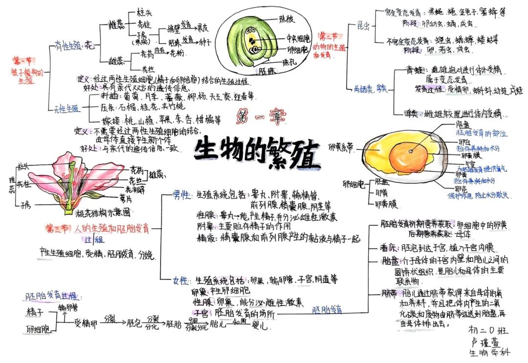 思維綻放 智慧飛揚丨初二年級開展學科思維導圖競賽