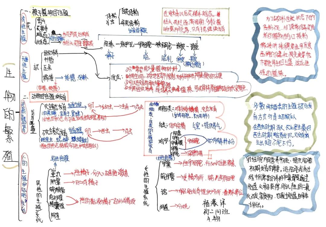 思維綻放 智慧飛揚丨初二年級開展學科思維導圖競賽