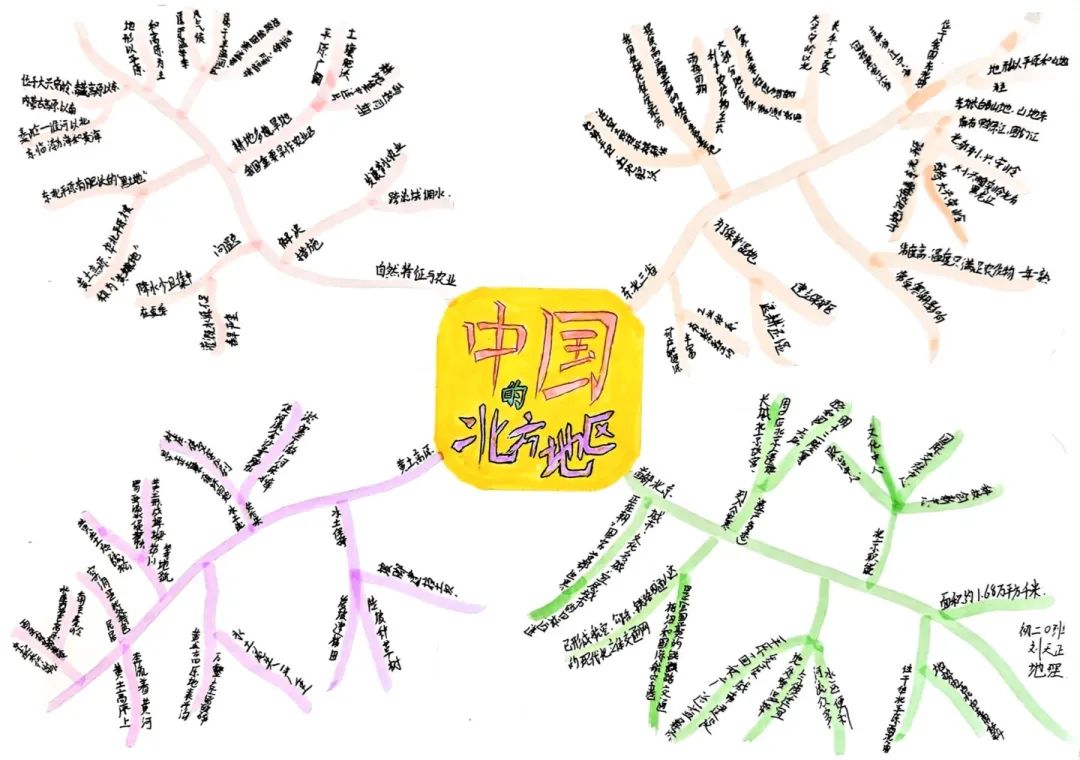 思維綻放 智慧飛揚丨初二年級開展學科思維導圖競賽