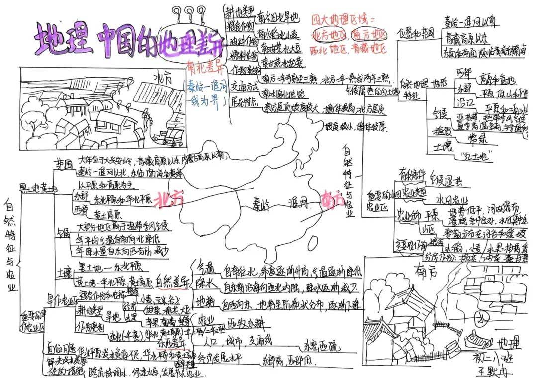 思維綻放 智慧飛揚丨初二年級開展學科思維導圖競賽