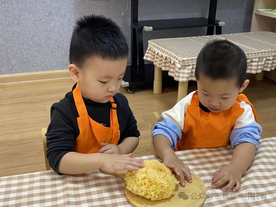 【寶龍托育】食育課——秋冬限定·小吊梨湯