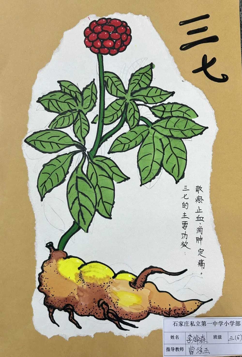 【立小 ? 德育】你看，我們的墻上有什么？讓校園處處都有對話！